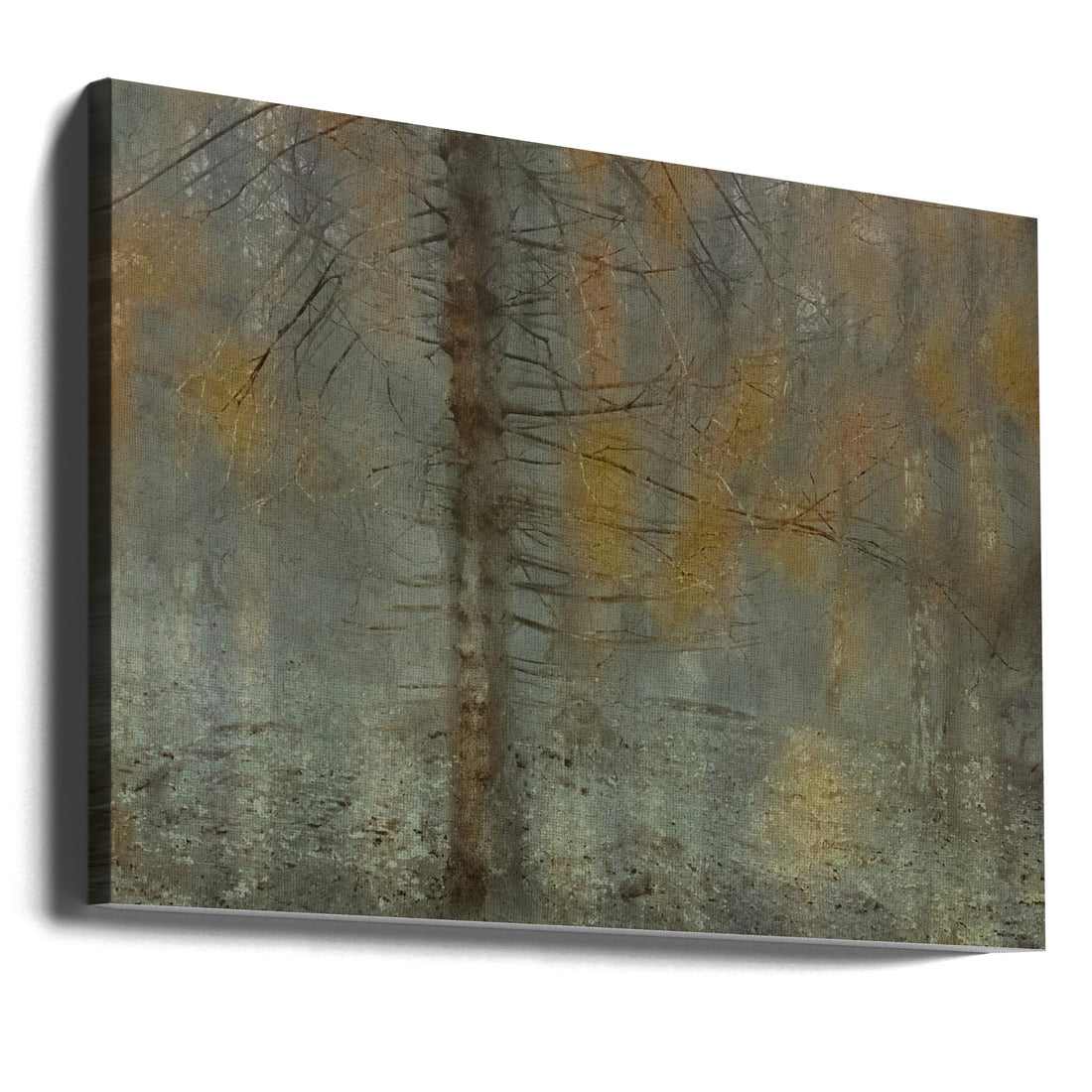 Pine Tree Abstract by Nel Talen | Double Exposure Pine, Large Canvas Wall Art Print | Artsy Earth