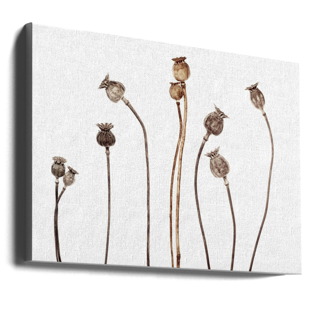 Poppies by Lotte Grønkjær | Minimalist Botanical Still Life, Large Canvas Wall Art Print | Artsy Earth