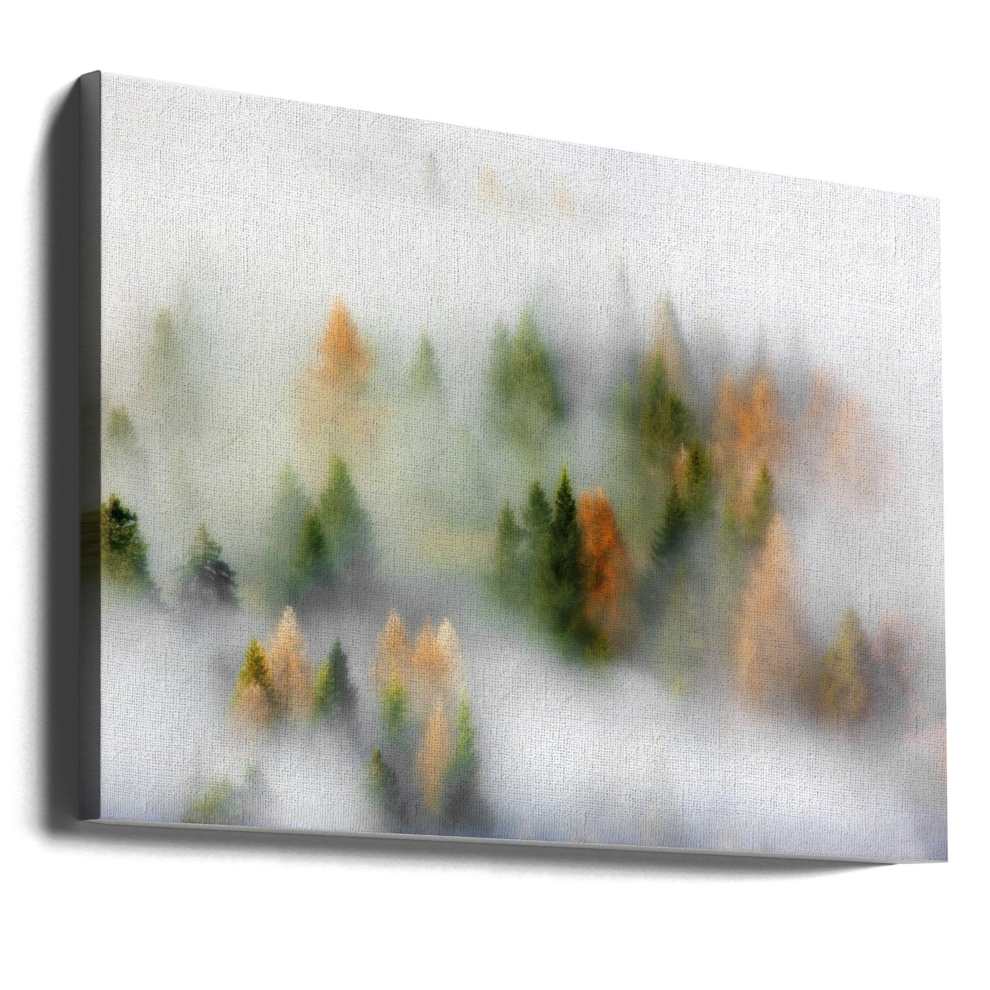 Autumn Dream by Kristjan Rems | Misty Forest Landscape, Large Canvas Wall Art Print | Artsy Earth