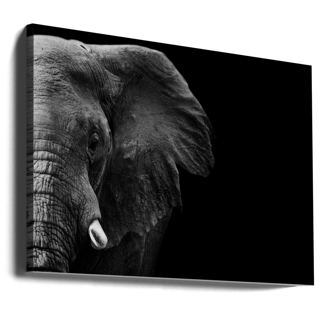 African Elephant Art by Wildphotoart | Black And White Animal, Large Canvas Wall Art Print | Artsy Earth