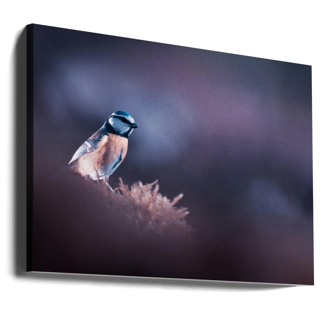 A Bird World by Fabien Bravin | Soft Animal Birds, Large Canvas Wall Art Print | Artsy Earth