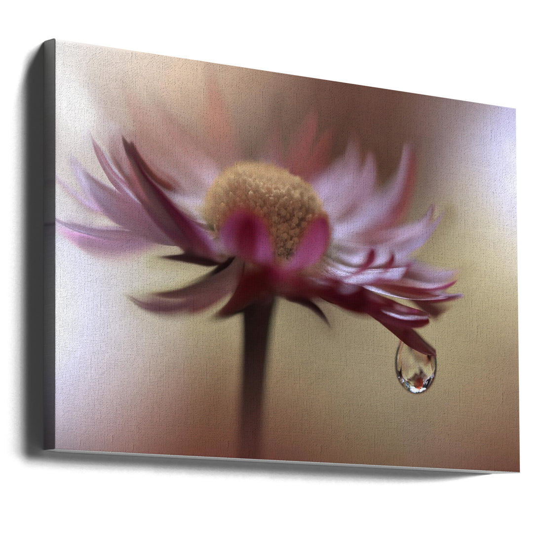 Tears of Time by Juliana Nan | Floral Water Droplets, Large Canvas Wall Art Print | Artsy Earth