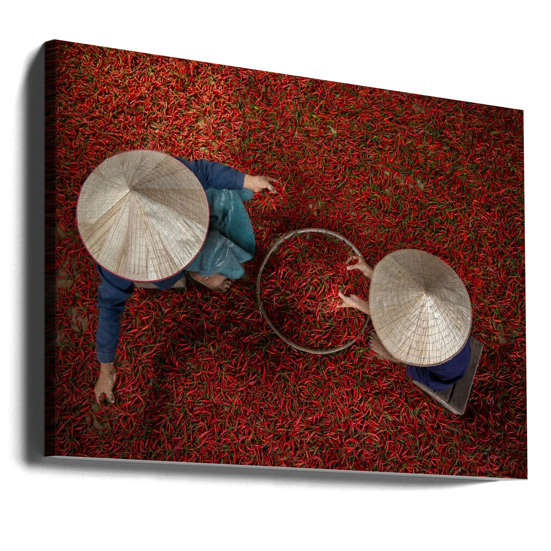 Aerial Chili Sorting by Sarawut Intarob | Asian Food Documentary, Large Canvas Wall Art Print | Artsy Earth