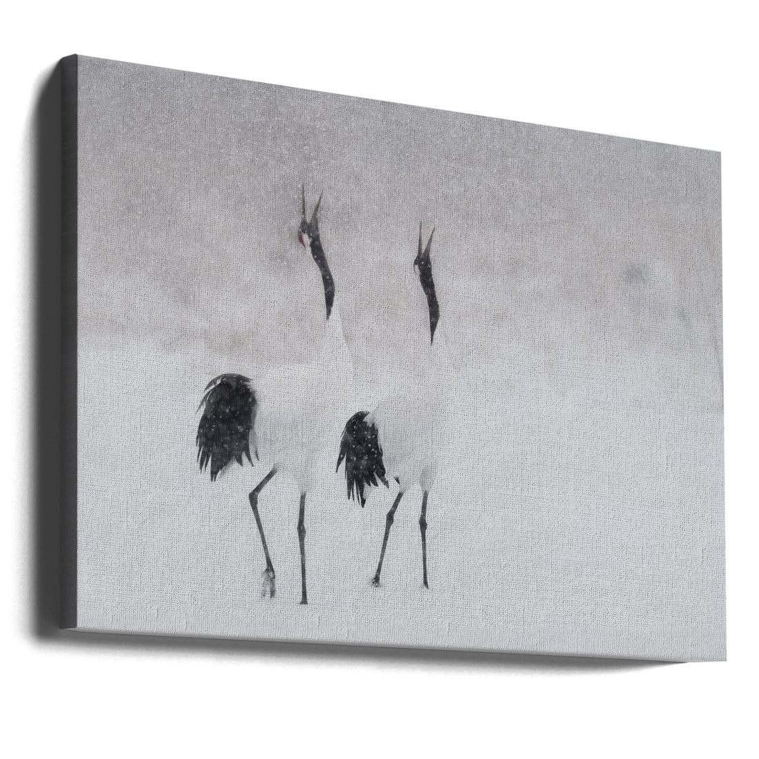 Japanese Crane Pair by Roberto Marchegiani | Dancing Snow Birds, Large Canvas Wall Art Print | Artsy Earth