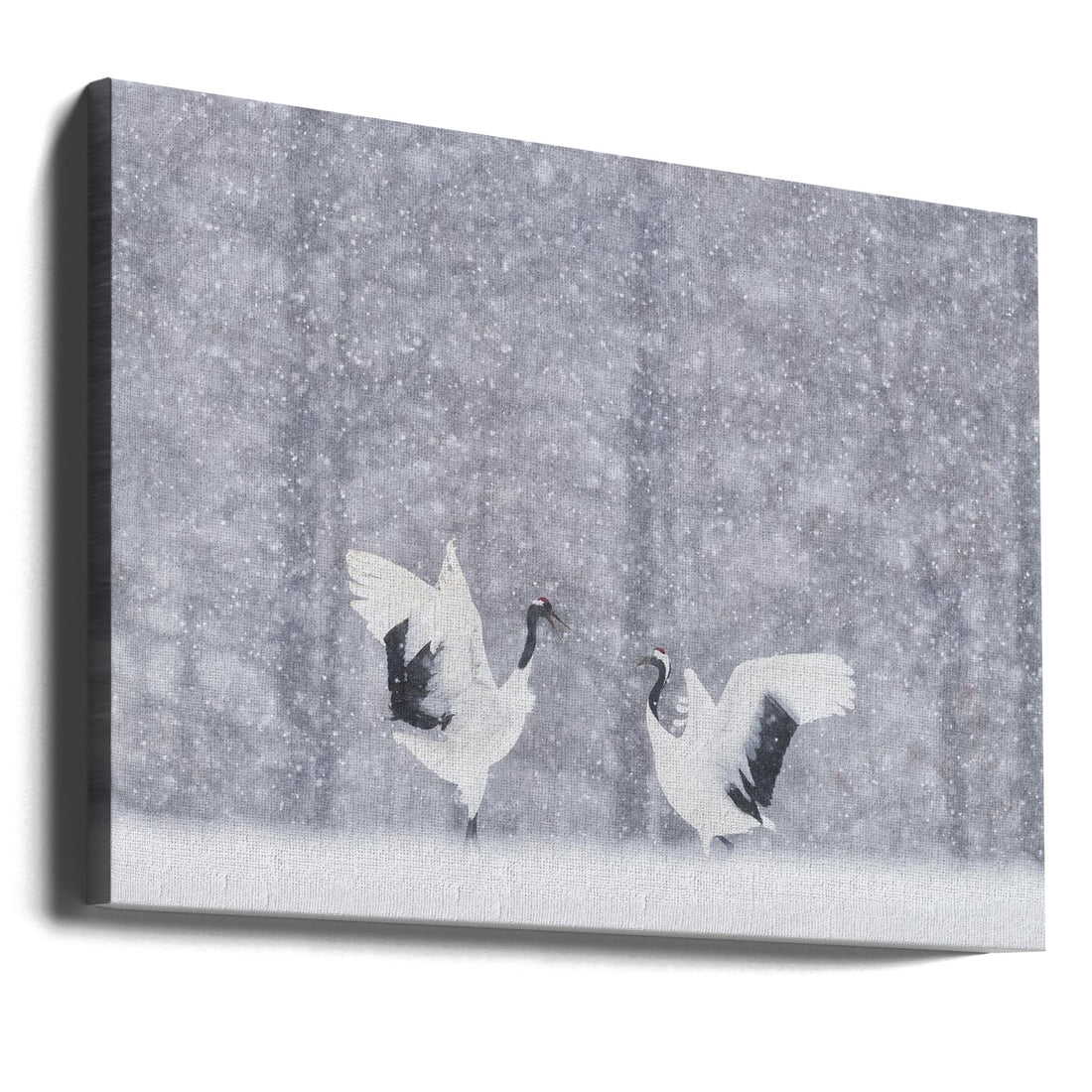 Japanese Cranes by Roberto Marchegiani | Winter Wildlife Nature, Large Canvas Wall Art Print | Artsy Earth