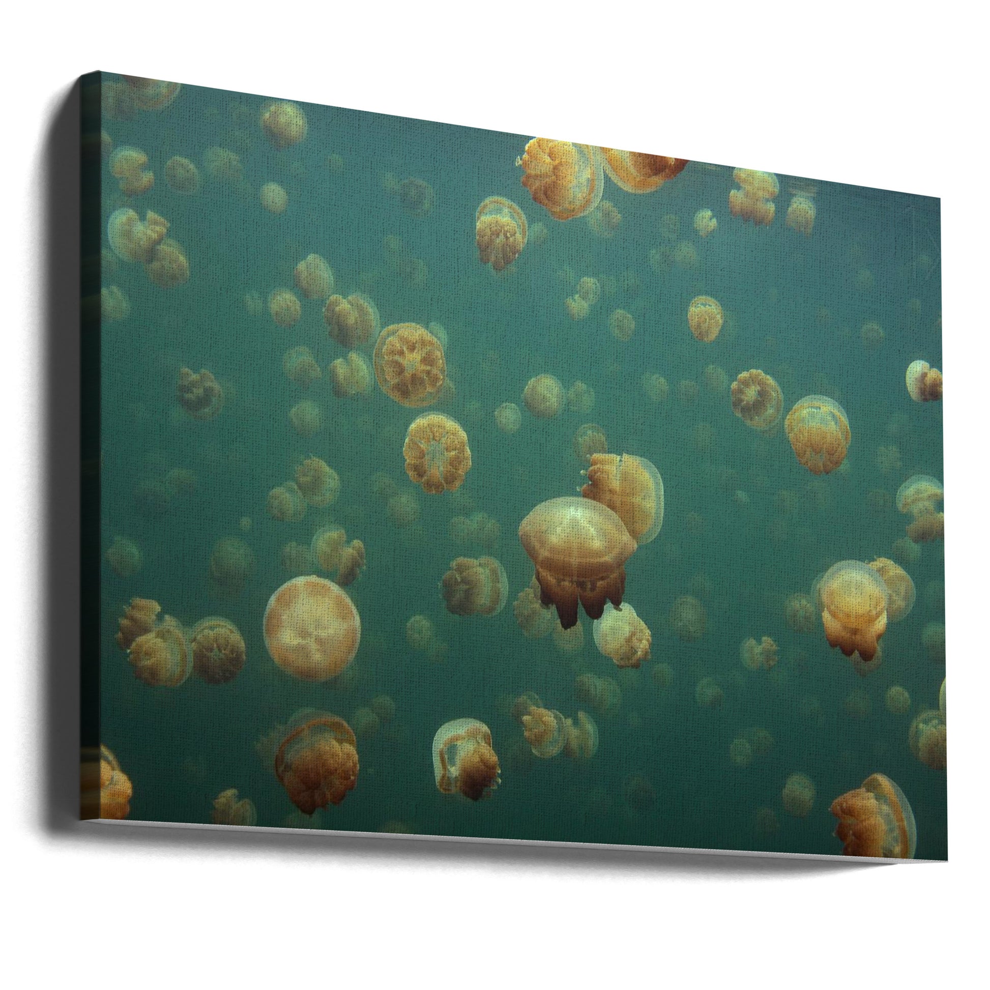 Underwater Alien World by Piron Xavier | Deep Sea Jellyfish, Large Canvas Wall Art Print | Artsy Earth