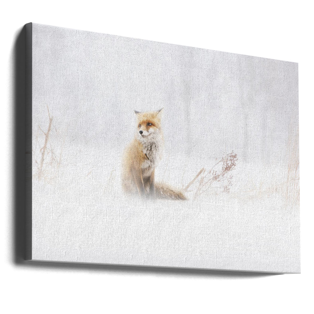 Winter Fox by Doris Reindl | Snowy Forest Wildlife, Large Canvas Wall Art Print | Artsy Earth