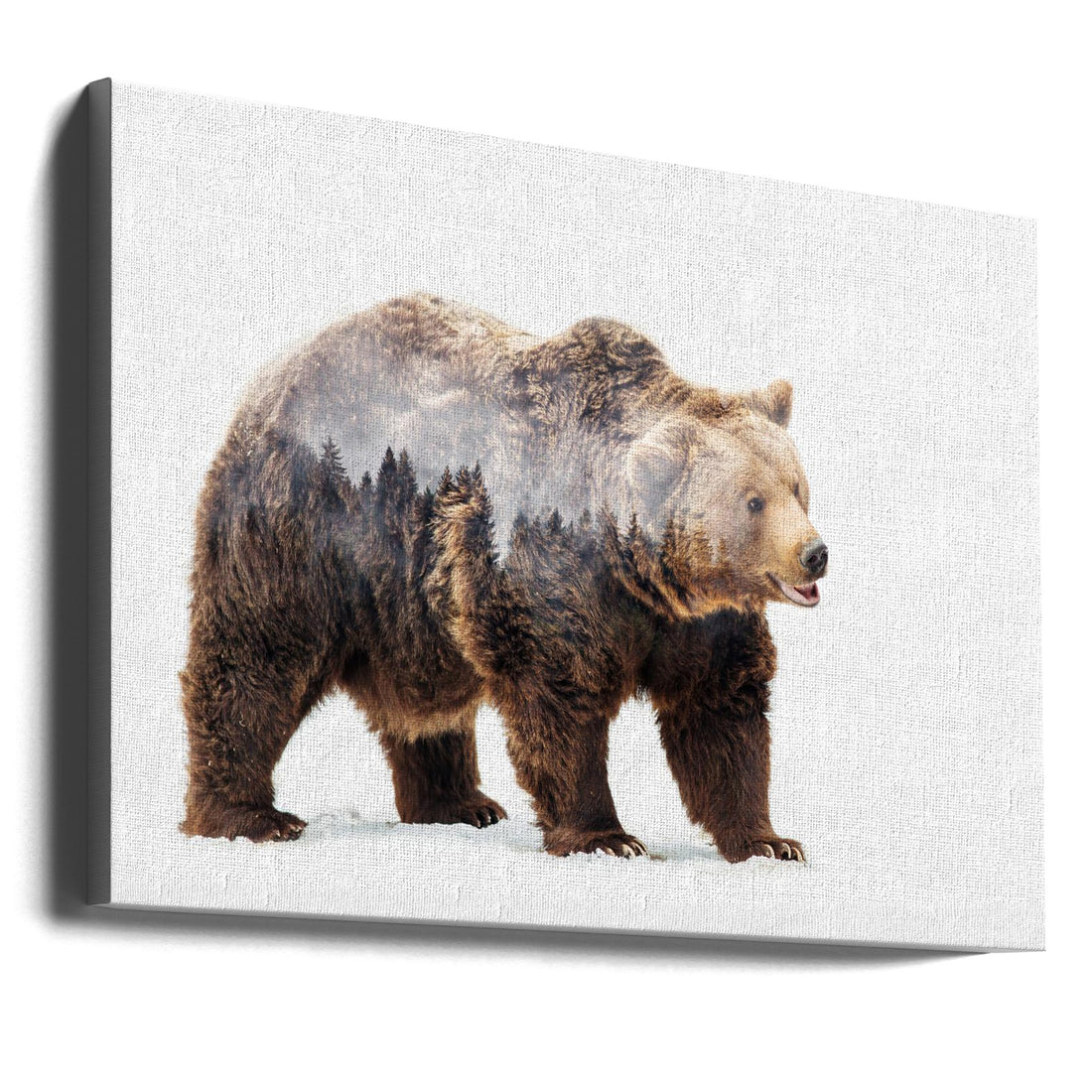 Forest Bear by Angyalosi Beáta | Foggy Wildlife Forest, Large Canvas Wall Art Print | Artsy Earth