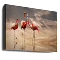 Flamingo Love Fight by Anna Cseresnjes | Romantic Wildlife Nature, Large Canvas Wall Art Print | Artsy Earth