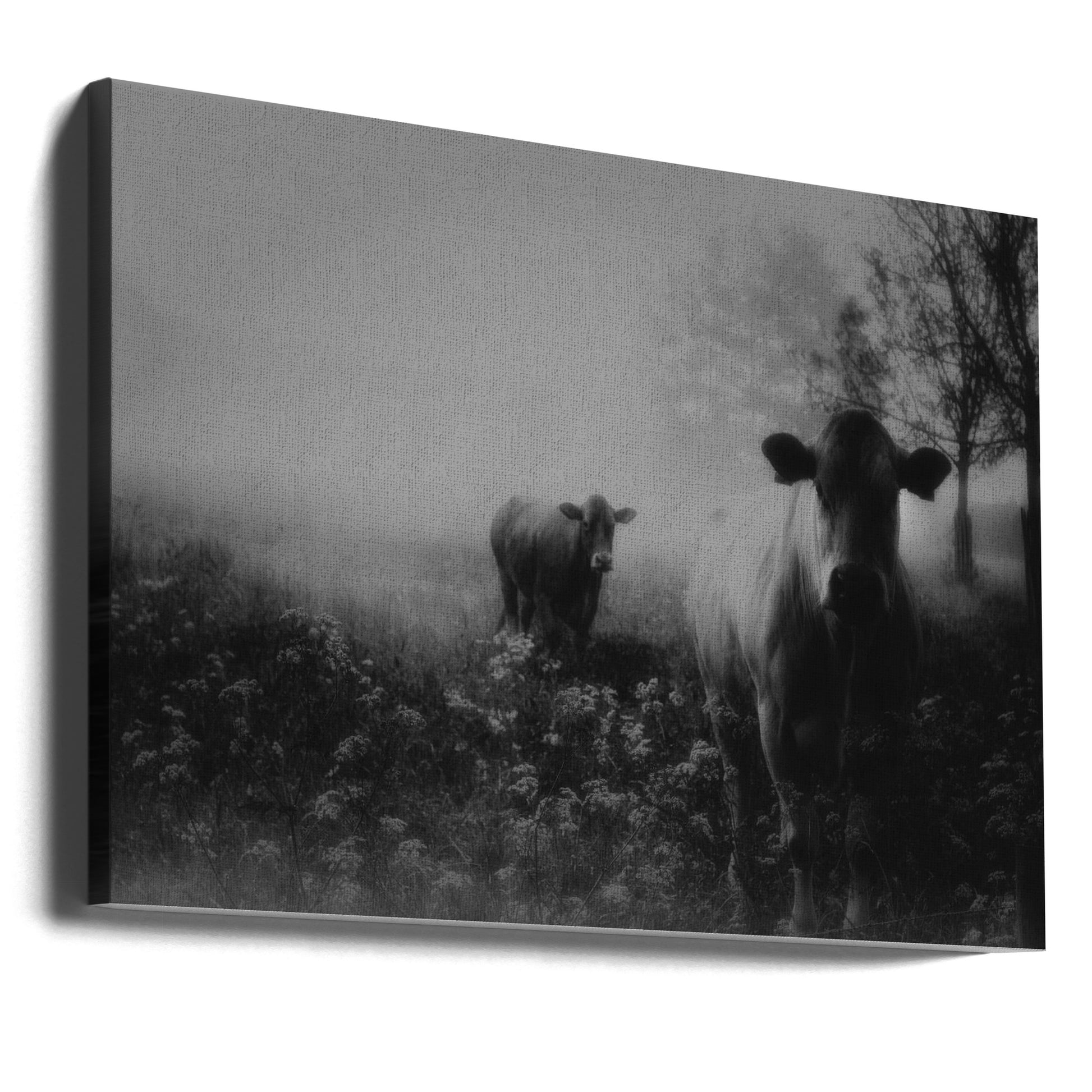 Foggy memory of the past by Saskia Dingemans | Foggy Rural Landscape, Large Canvas Wall Art Print | Artsy Earth