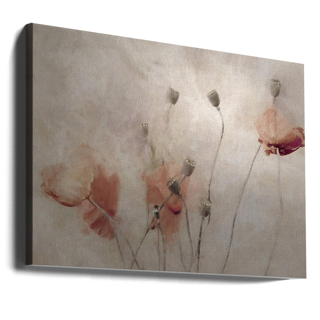 Frolicking Hats by Gilbert Claes | Red Poppy Illustration, Large Canvas Wall Art Print | Artsy Earth