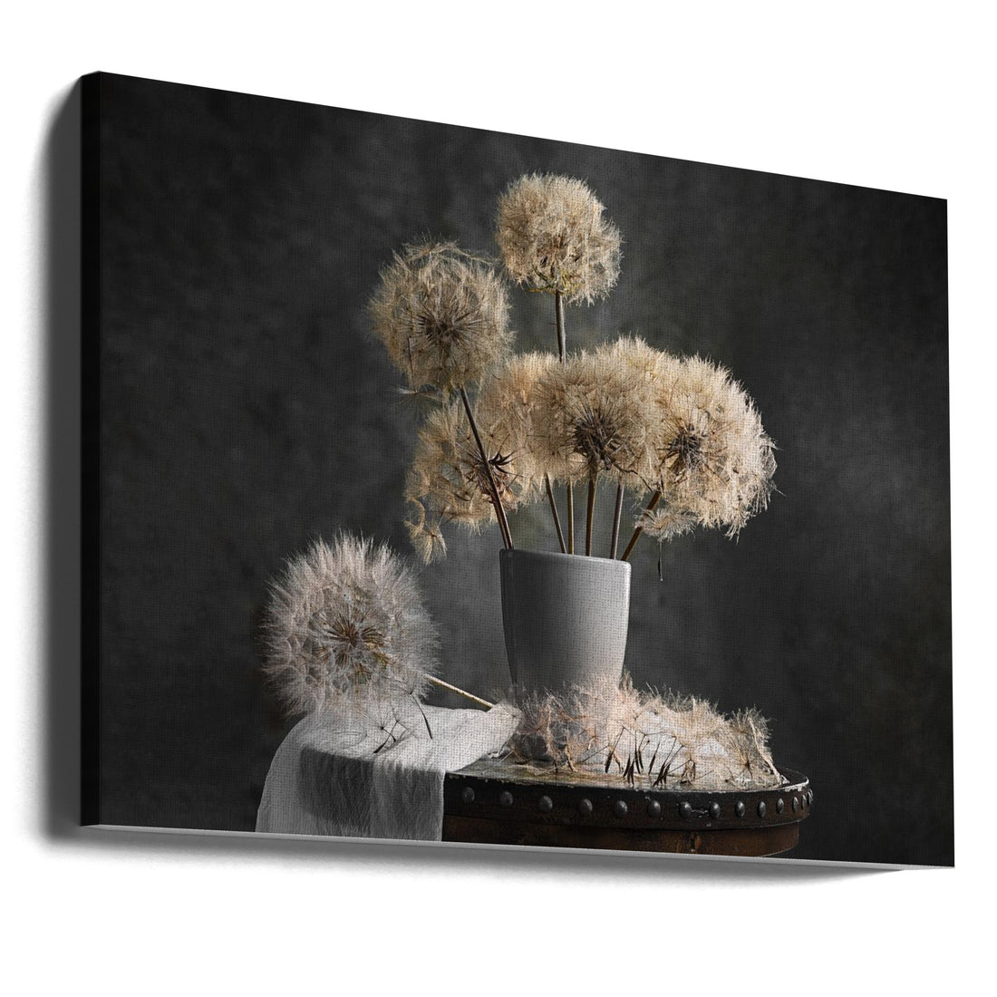 Dandelion Seed Pod by Lydia Jacobs | Dried Botanical Still Life, Large Canvas Wall Art Print | Artsy Earth