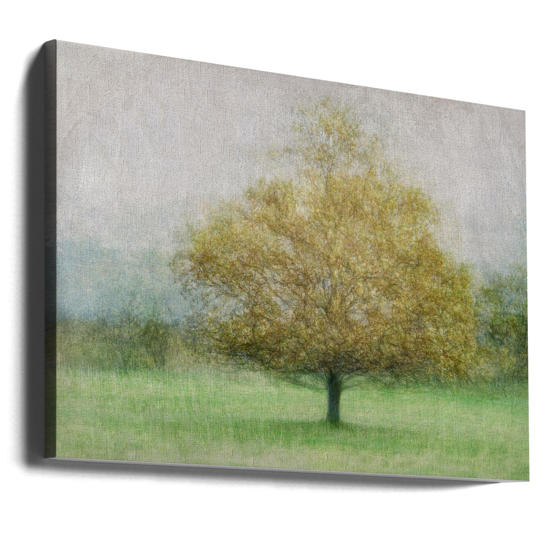 Solitaire by Katarina Holmström | Lonely Tree Landscape, Large Canvas Wall Art Print | Artsy Earth