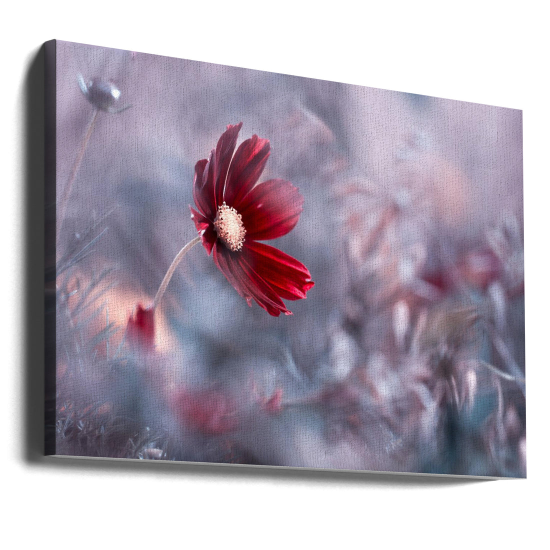 Red Floral Macro by Fabien Bravin | Botanical Garden Flowers, Large Canvas Wall Art Print | Artsy Earth