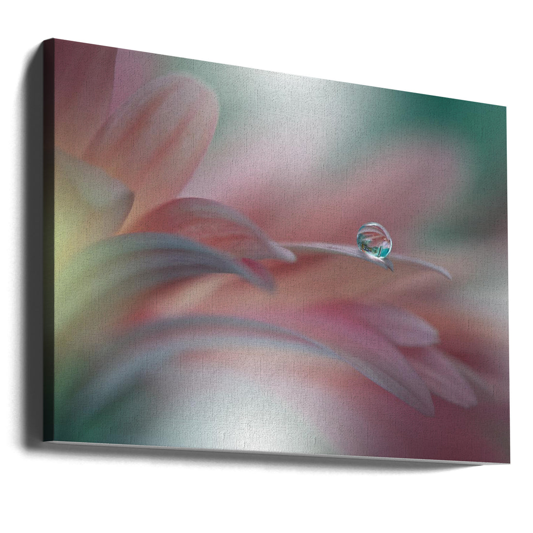 Sunbeam II by Juliana Nan | Floral Water Droplets, Large Canvas Wall Art Print | Artsy Earth