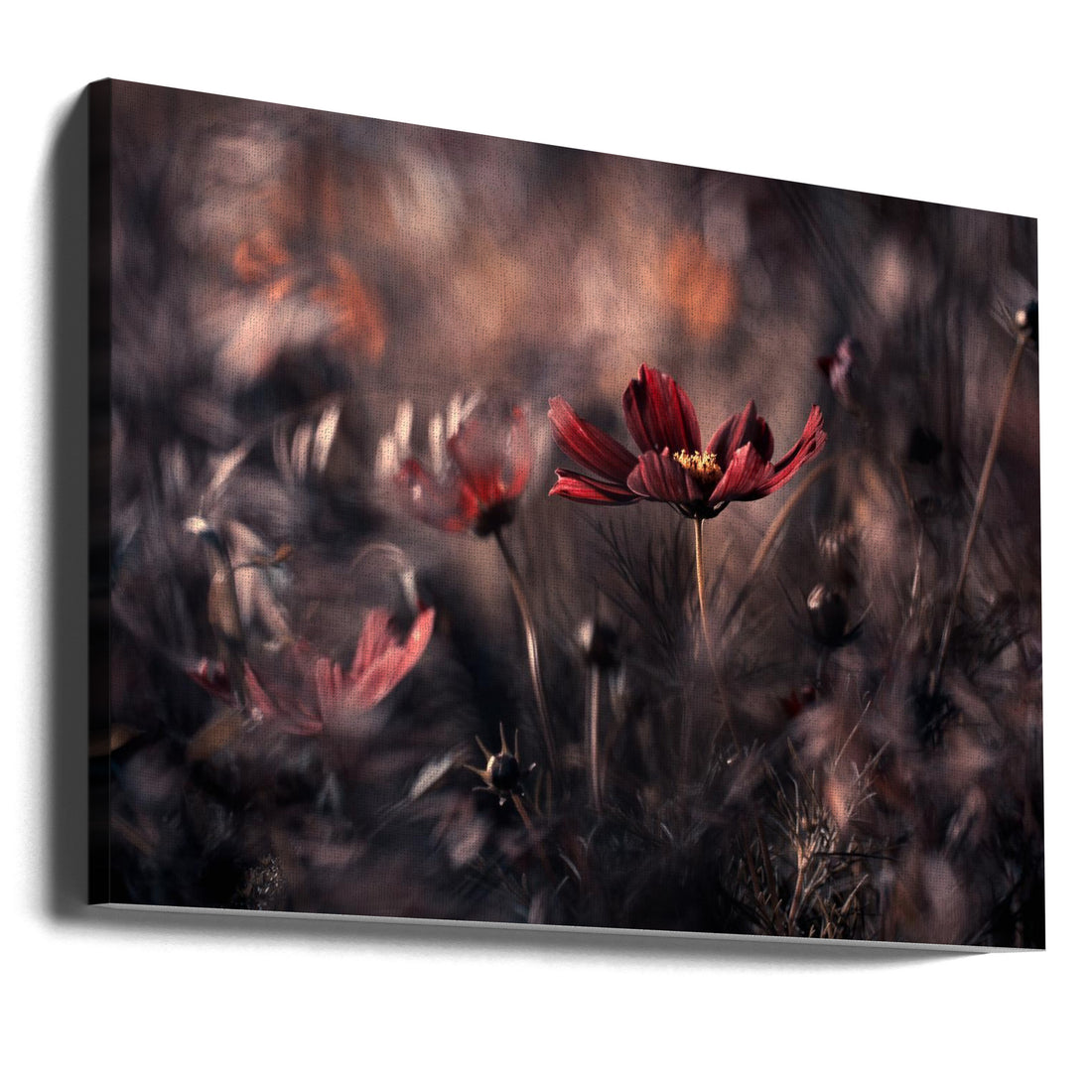 Floral Macro Art by Fabien Bravin | Botanical Close-up Garden, Large Canvas Wall Art Print | Artsy Earth