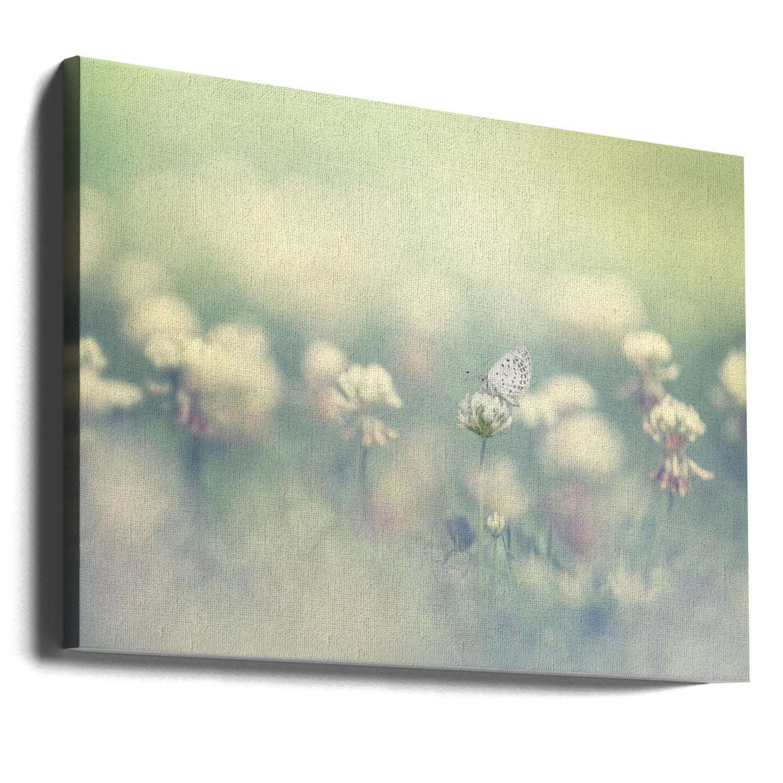 Small World by Takashi Suzuki | Macro Floral Closeup, Large Canvas Wall Art Print | Artsy Earth