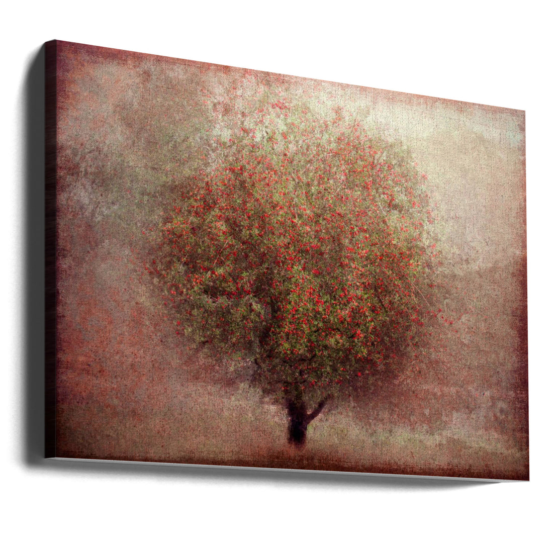 Apple Tree by Katarina Holmström | Painterly Botanical Landscape, Large Canvas Wall Art Print | Artsy Earth