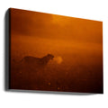 Golden Lion Puff by Mohammed Alnaser | African Wildlife Nature, Large Canvas Wall Art Print | Artsy Earth