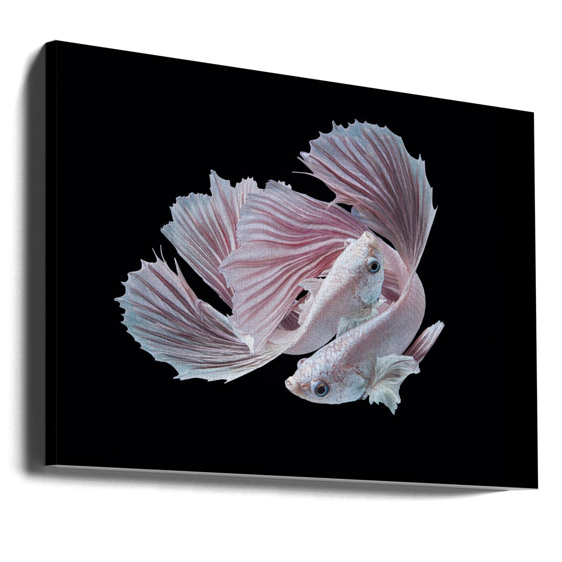 The Love Dance by Andi Halil | Romantic Fish Couple, Large Canvas Wall Art Print | Artsy Earth