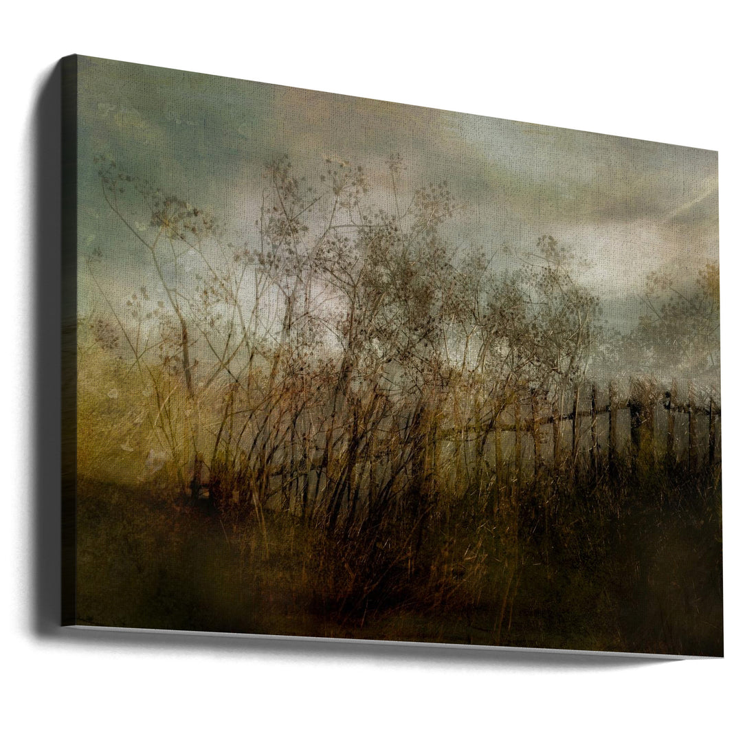 Old Dream by Nel Talen | Abstract Floral Botanical, Large Canvas Wall Art Print | Artsy Earth