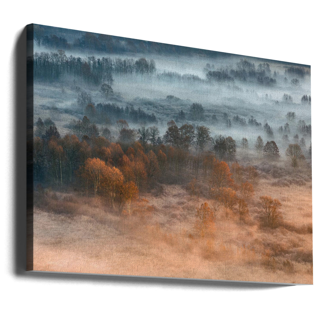 Autumnal Misty Dawn by Fiorenzo Carozzi | Foggy Forest Landscape, Large Canvas Wall Art Print | Artsy Earth