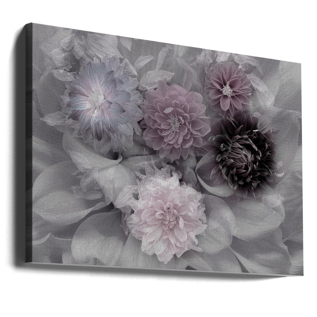 Dahlia Dream by Inge Schuster | Purple Floral Macro, Large Canvas Wall Art Print | Artsy Earth