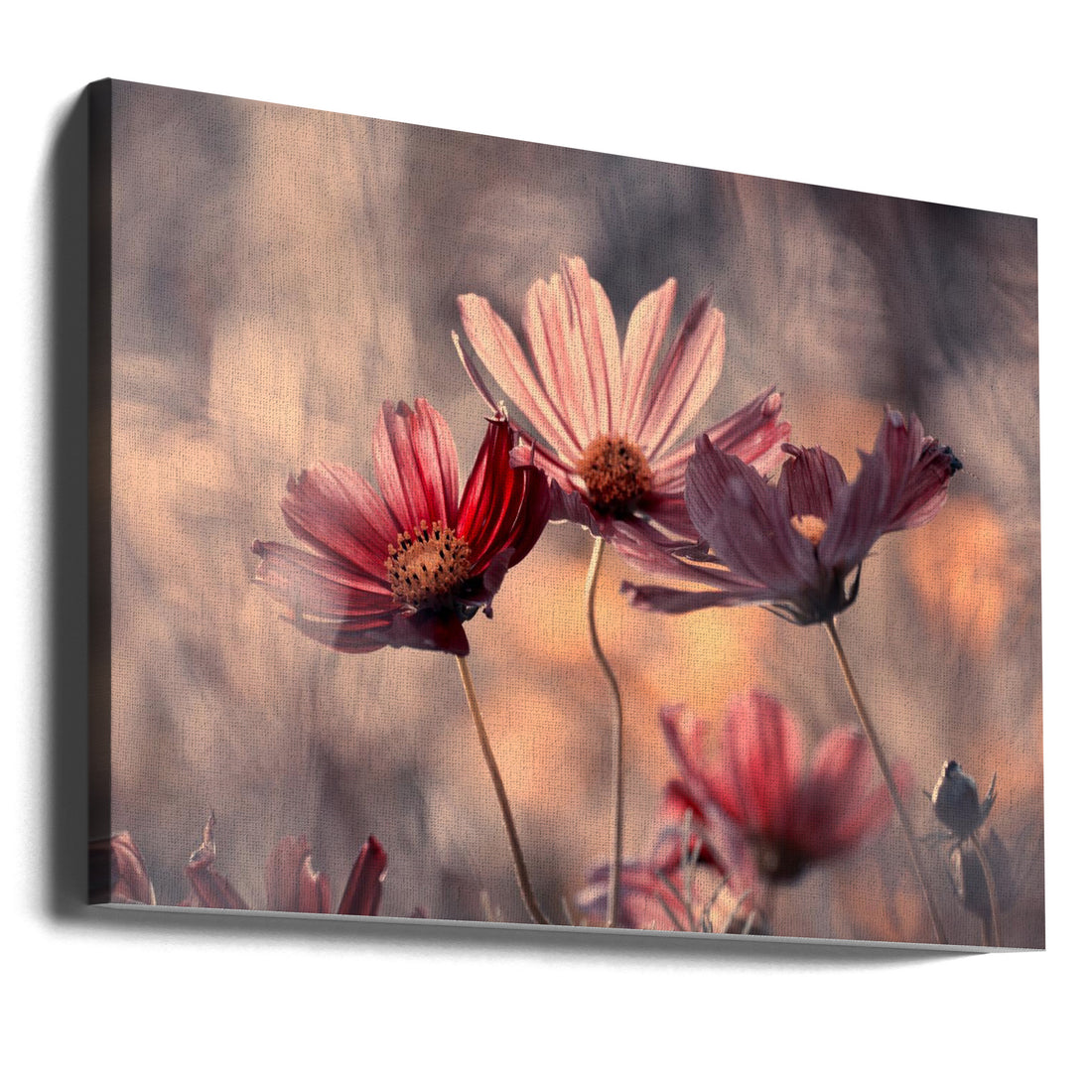 The Three Sisters by Fabien Bravin | Pink Floral Romance, Large Canvas Wall Art Print | Artsy Earth