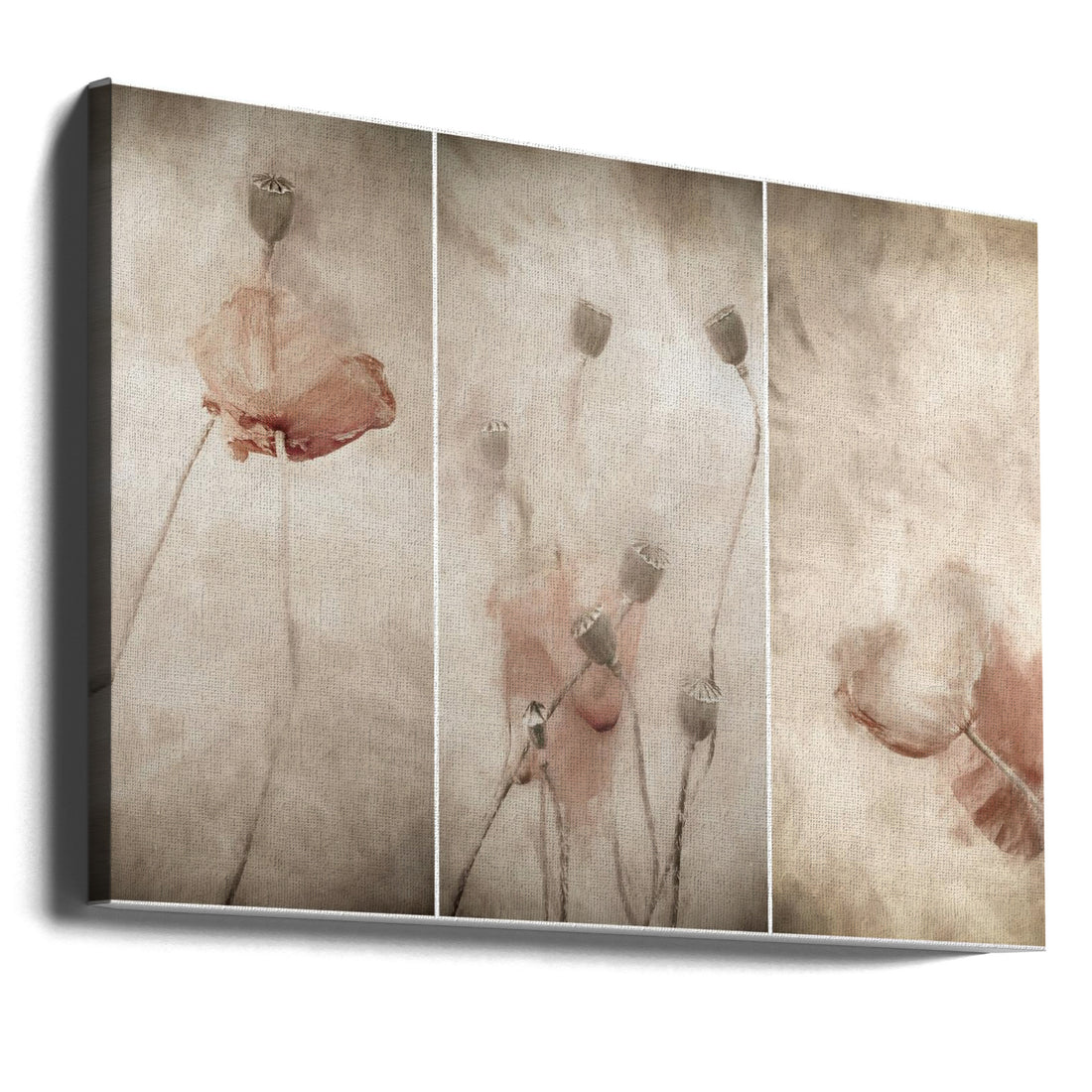 swaying gentle in the breeze by Gilbert Claes | Pink Pastel Poppies, Large Canvas Wall Art Print | Artsy Earth