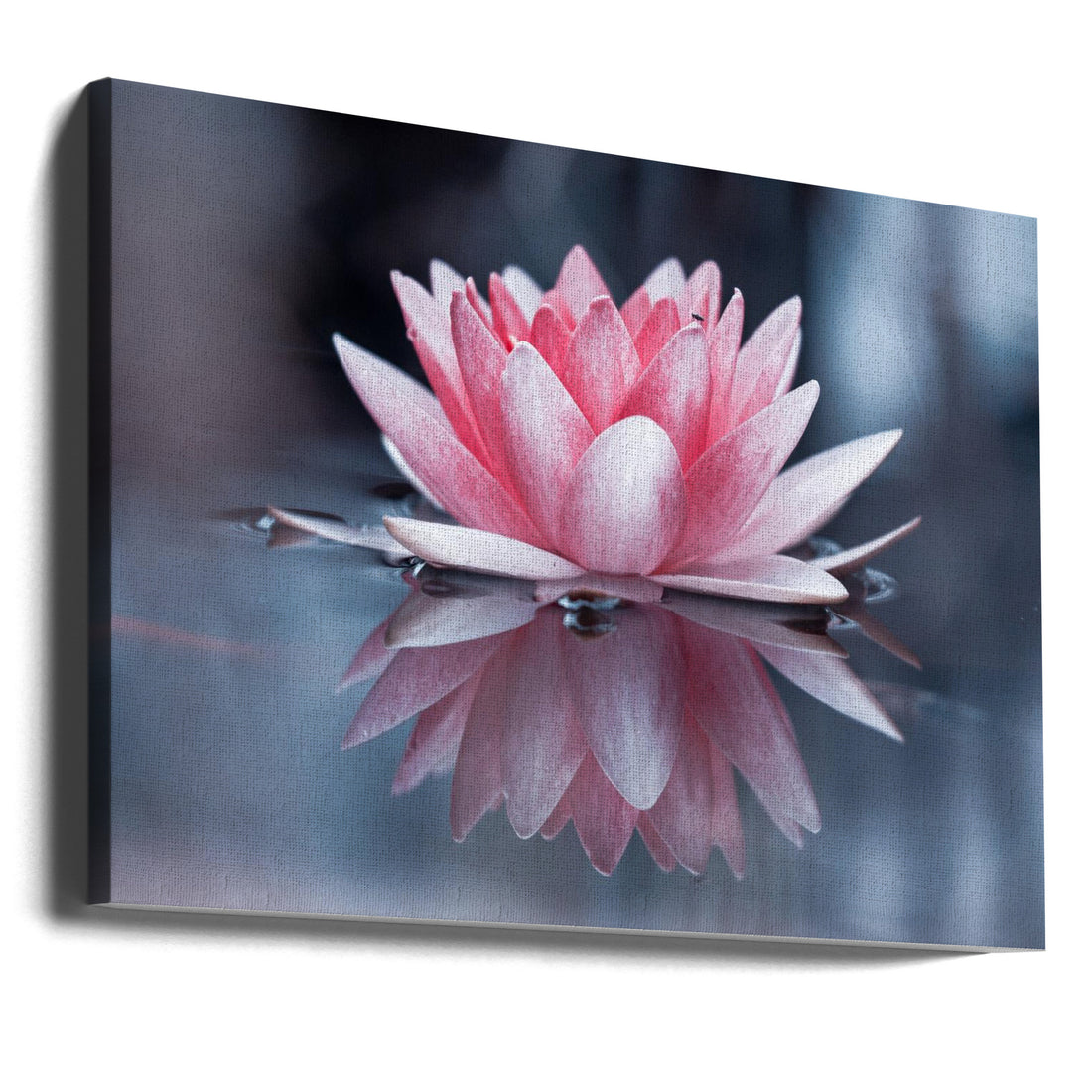 Lotus Meditation by Fabien Bravin | Peaceful Floral Zen, Large Canvas Wall Art Print | Artsy Earth