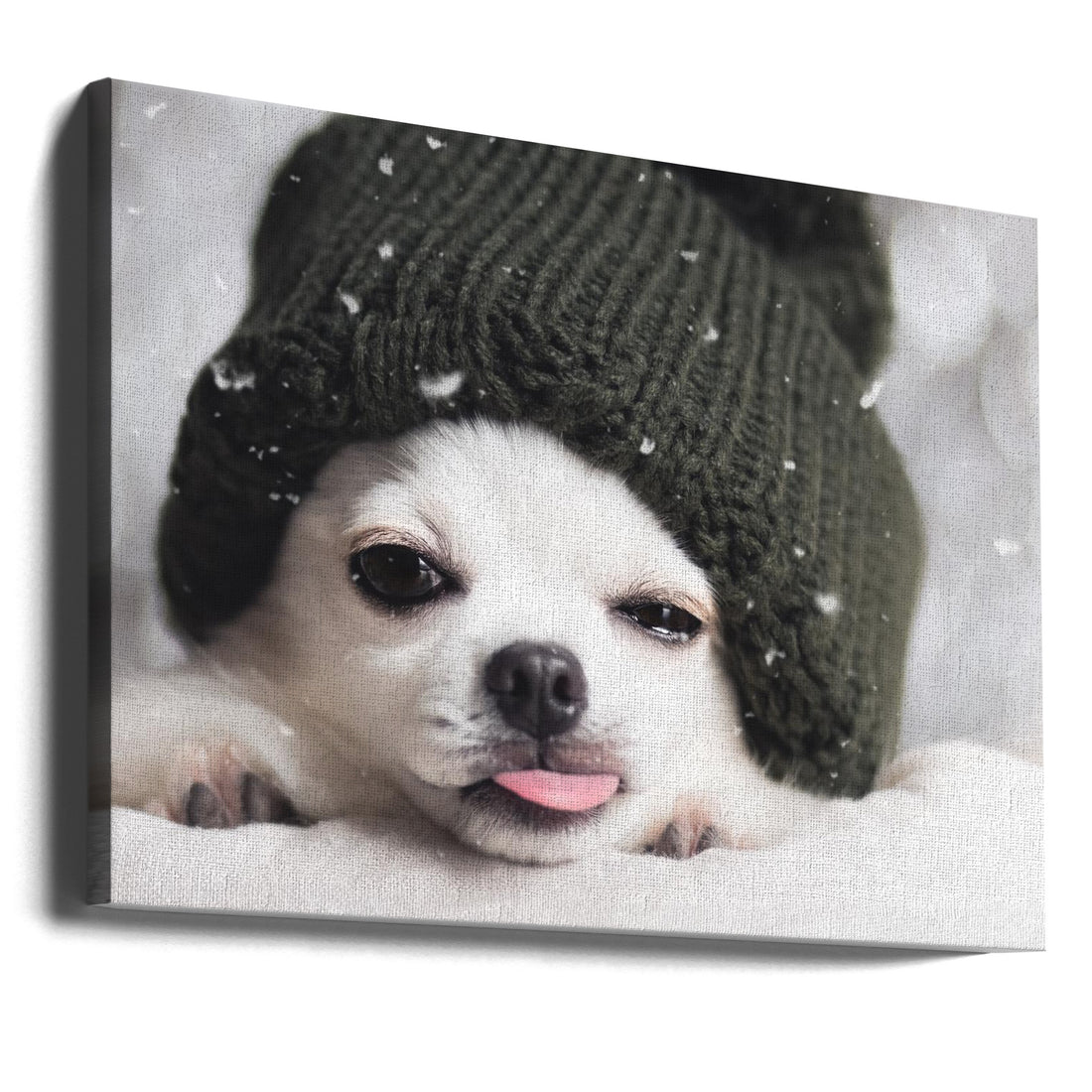 Winter Chihuahua by Lienjp | Funny Pet Dog, Large Canvas Wall Art Print | Artsy Earth