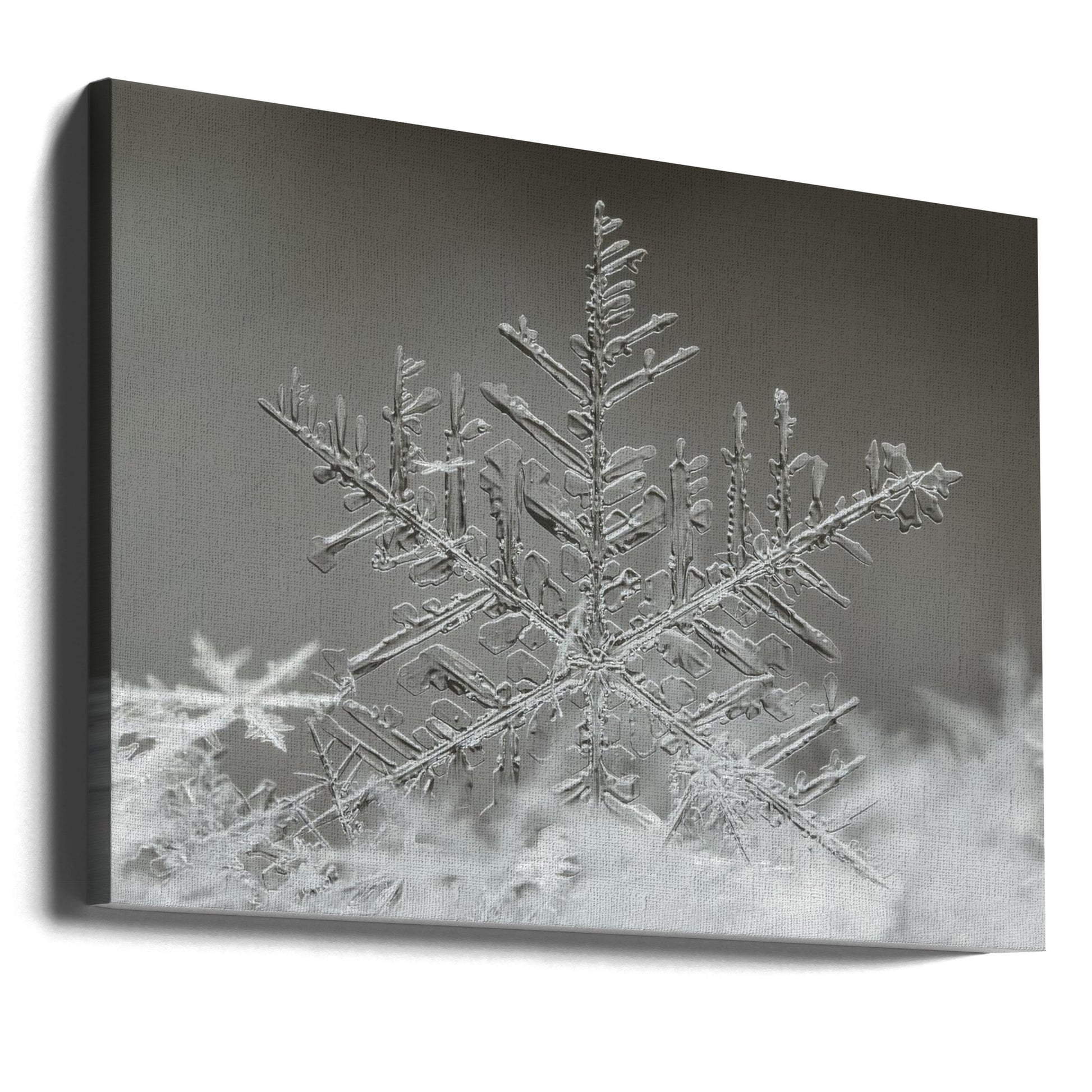 Frosty Snowflake by Tsolmon Naidandorj | Ice Crystal Geometry, Large Canvas Wall Art Print | Artsy Earth