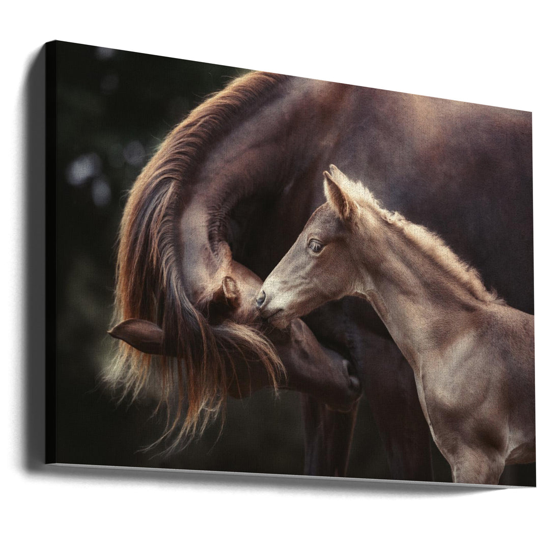 The Bond by Heike Willers | Horse Family Affection, Large Canvas Wall Art Print | Artsy Earth