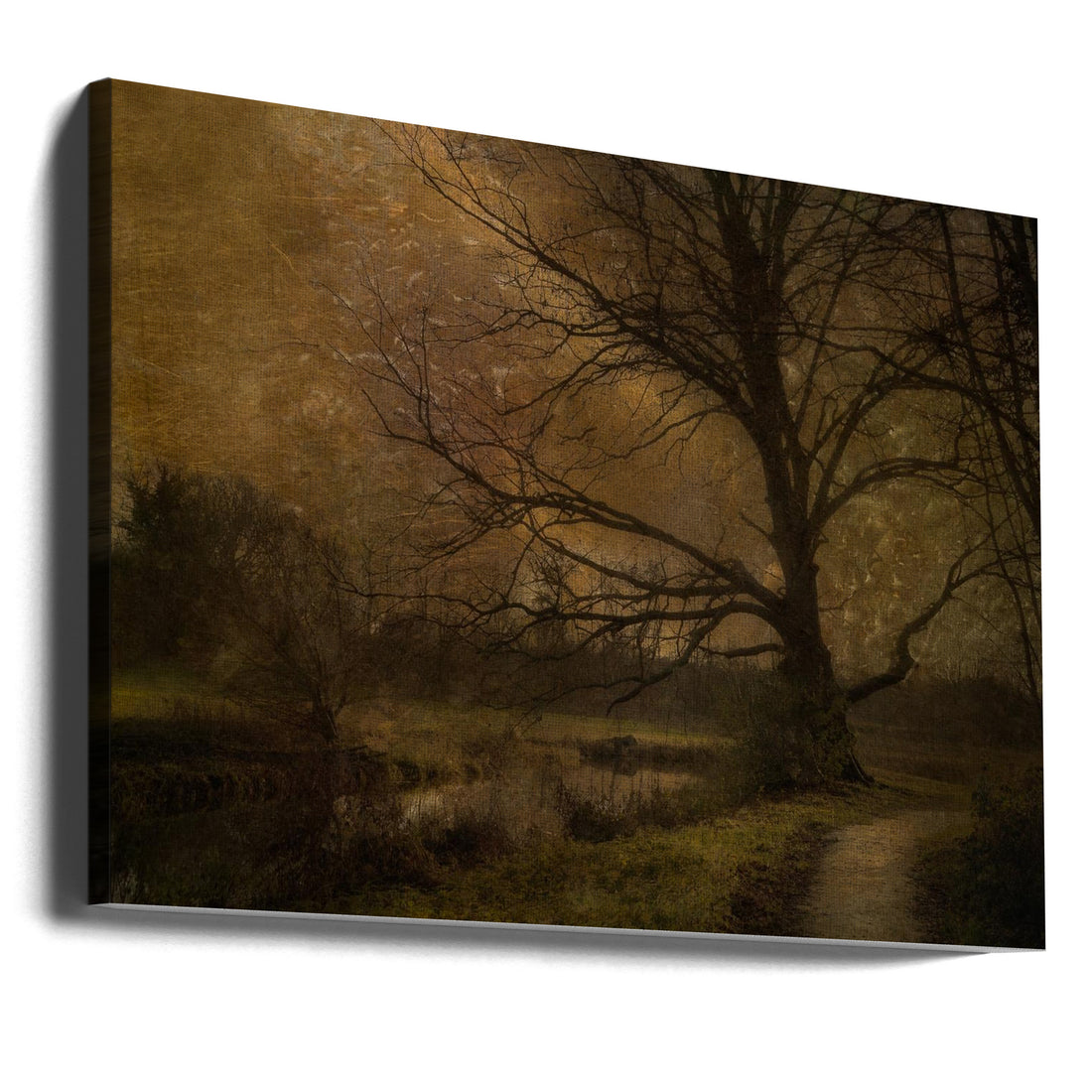 Old tree by Nel Talen | Abstract Forest Landscape, Large Canvas Wall Art Print | Artsy Earth