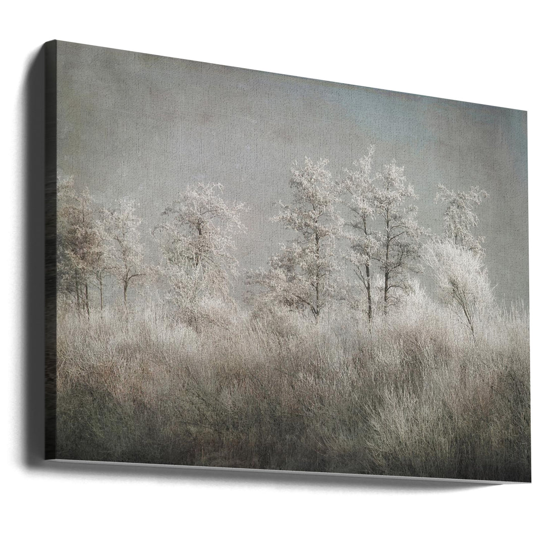 Frosty Forest Morning by Nel Talen | Winter Landscape, Large Canvas Wall Art Print | Artsy Earth