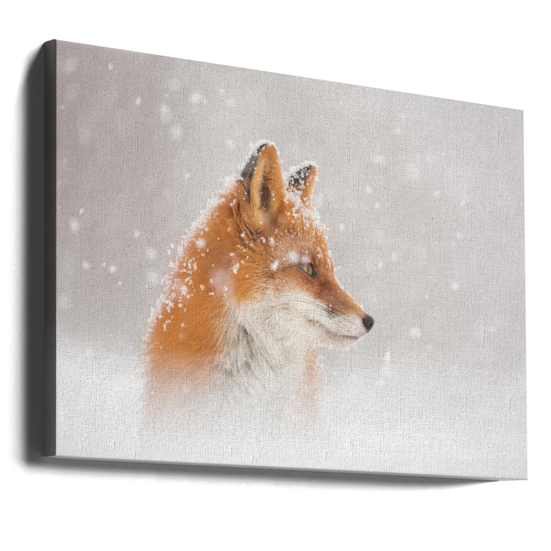 Snowy Fox Magic by Denis Budkov | Winter Wildlife, Large Canvas Wall Art Print | Artsy Earth