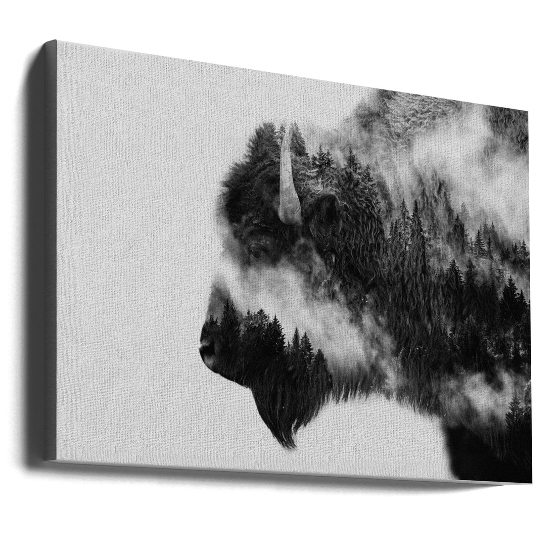 Misty Bison Forest by Angyalosi Beáta | Double Exposure Wildlife, Large Canvas Wall Art Print | Artsy Earth