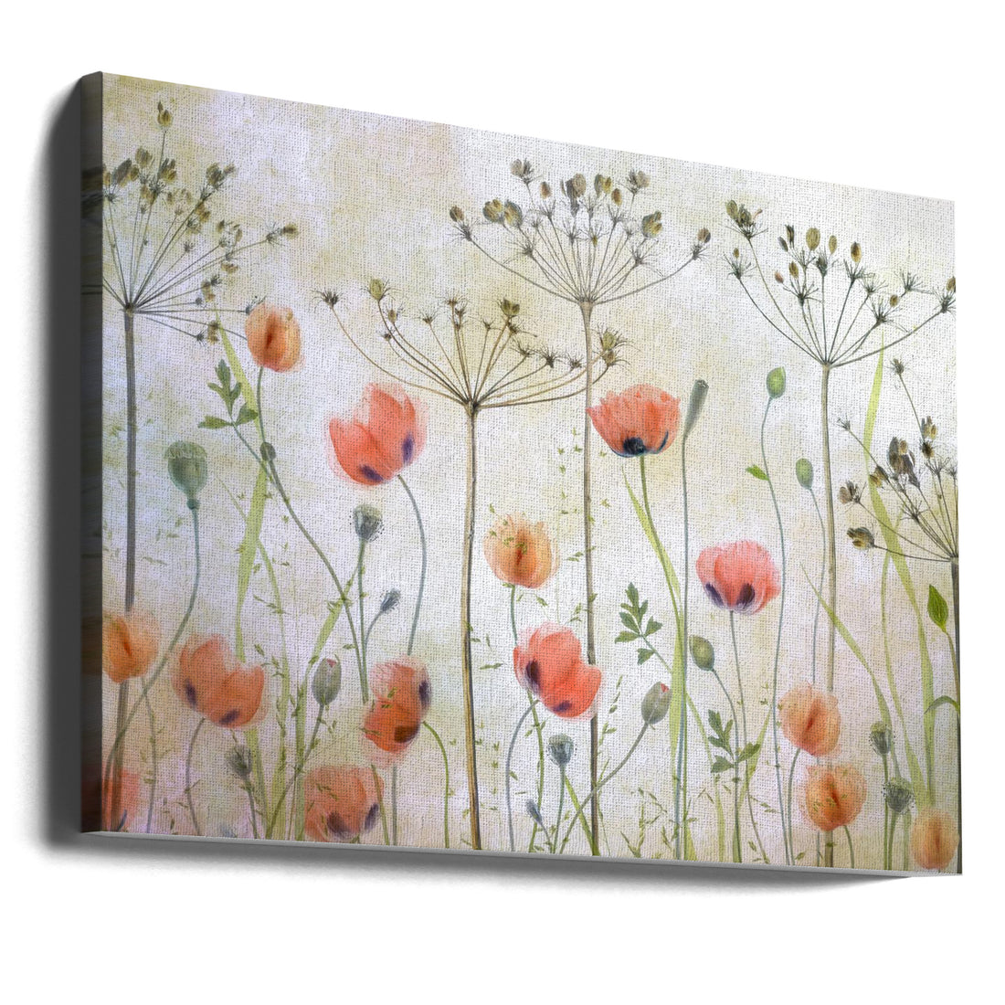 Poppy Meadow by Mandy Disher | Botanical Floral Nature, Large Canvas Wall Art Print | Artsy Earth