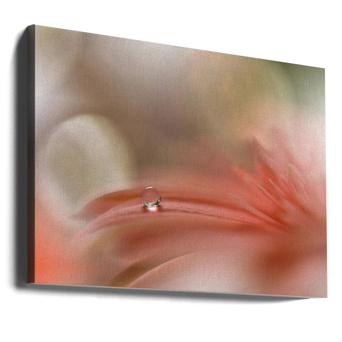 Light Touch by Juliana Nan | Floral Macro Droplets, Large Canvas Wall Art Print | Artsy Earth