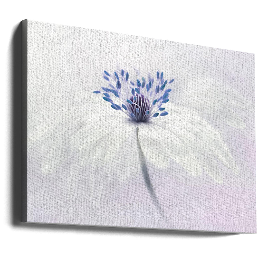 Anemone Blanda by Jacky Parker | Spring Floral Macro, Large Canvas Wall Art Print | Artsy Earth