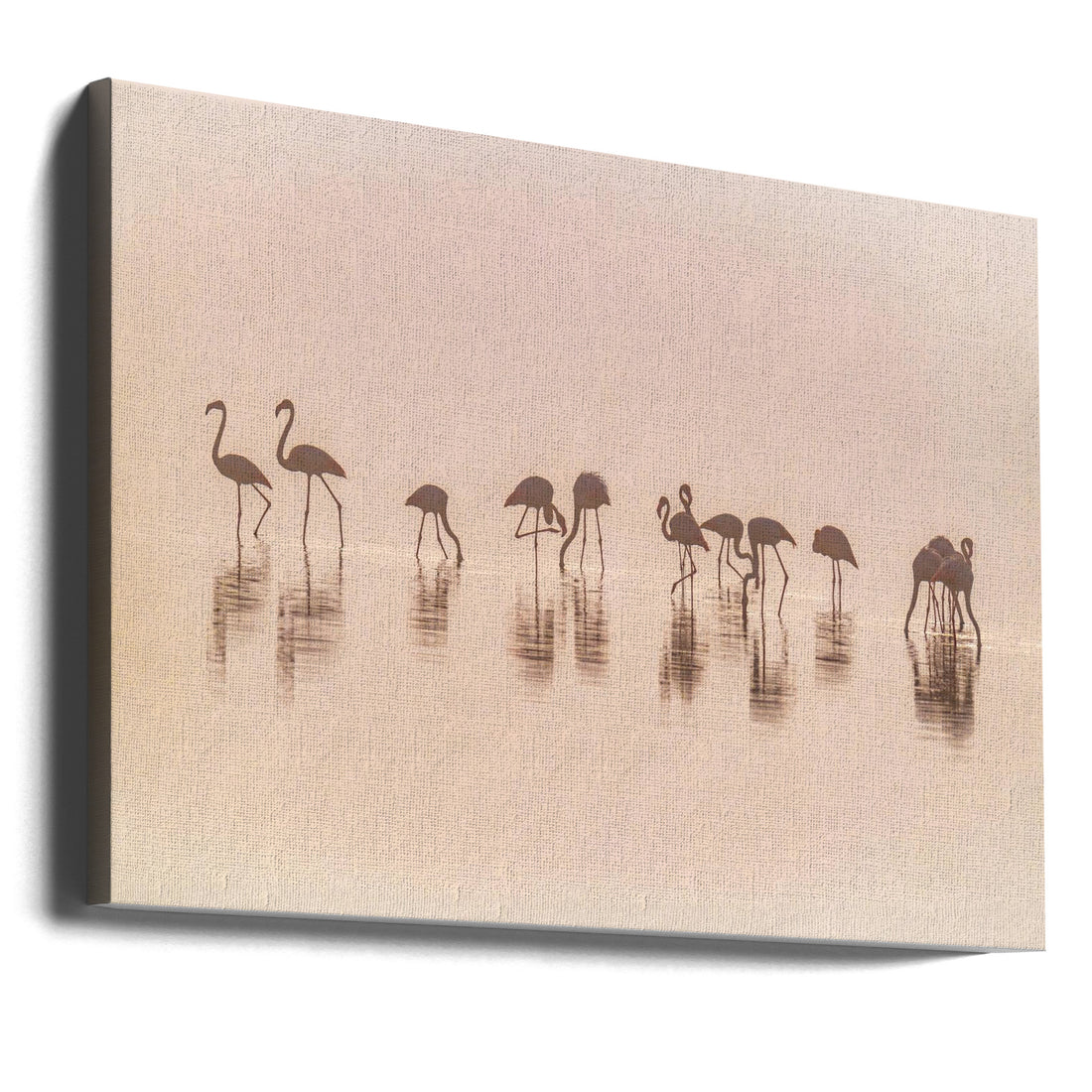 Flamingos in the mist by Jeffrey C. Sink | Wild Nature Birds, Large Canvas Wall Art Print | Artsy Earth