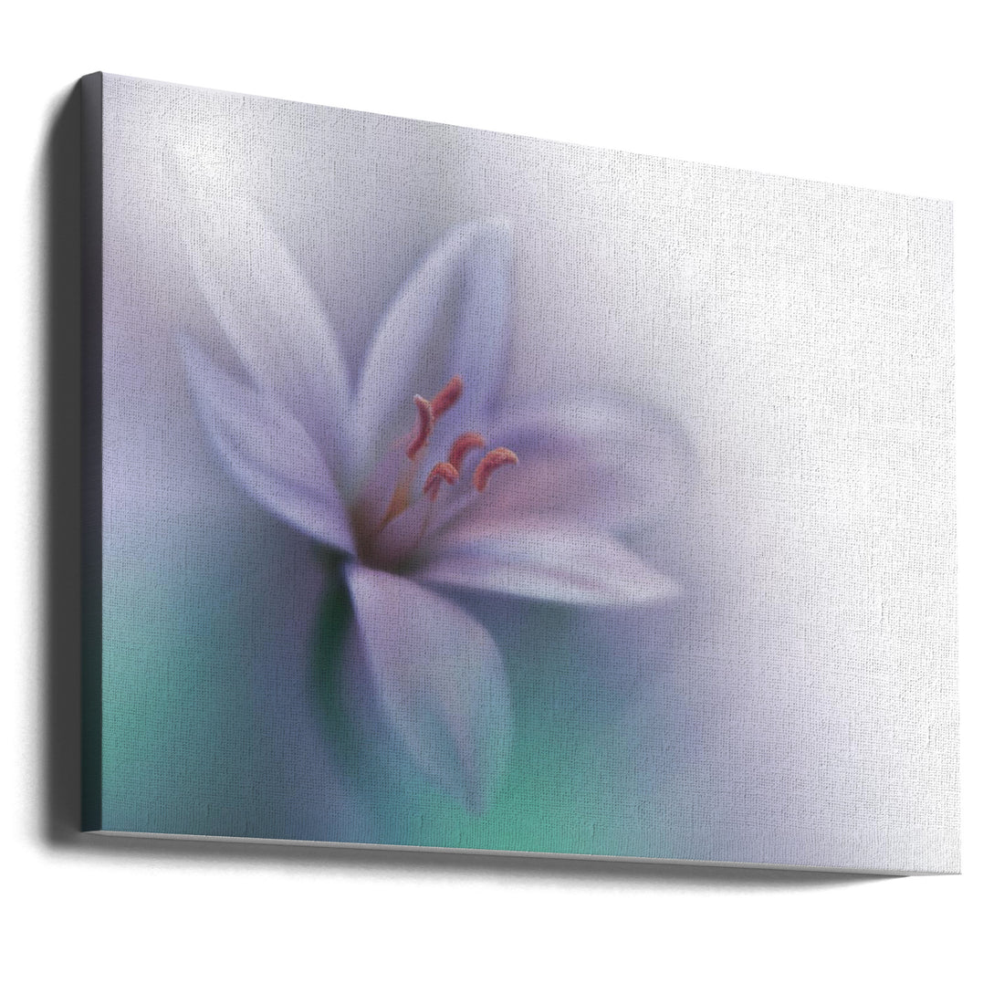 Soft Spring Flora by Juliana Nan | Floral Macro Botanical, Large Canvas Wall Art Print | Artsy Earth