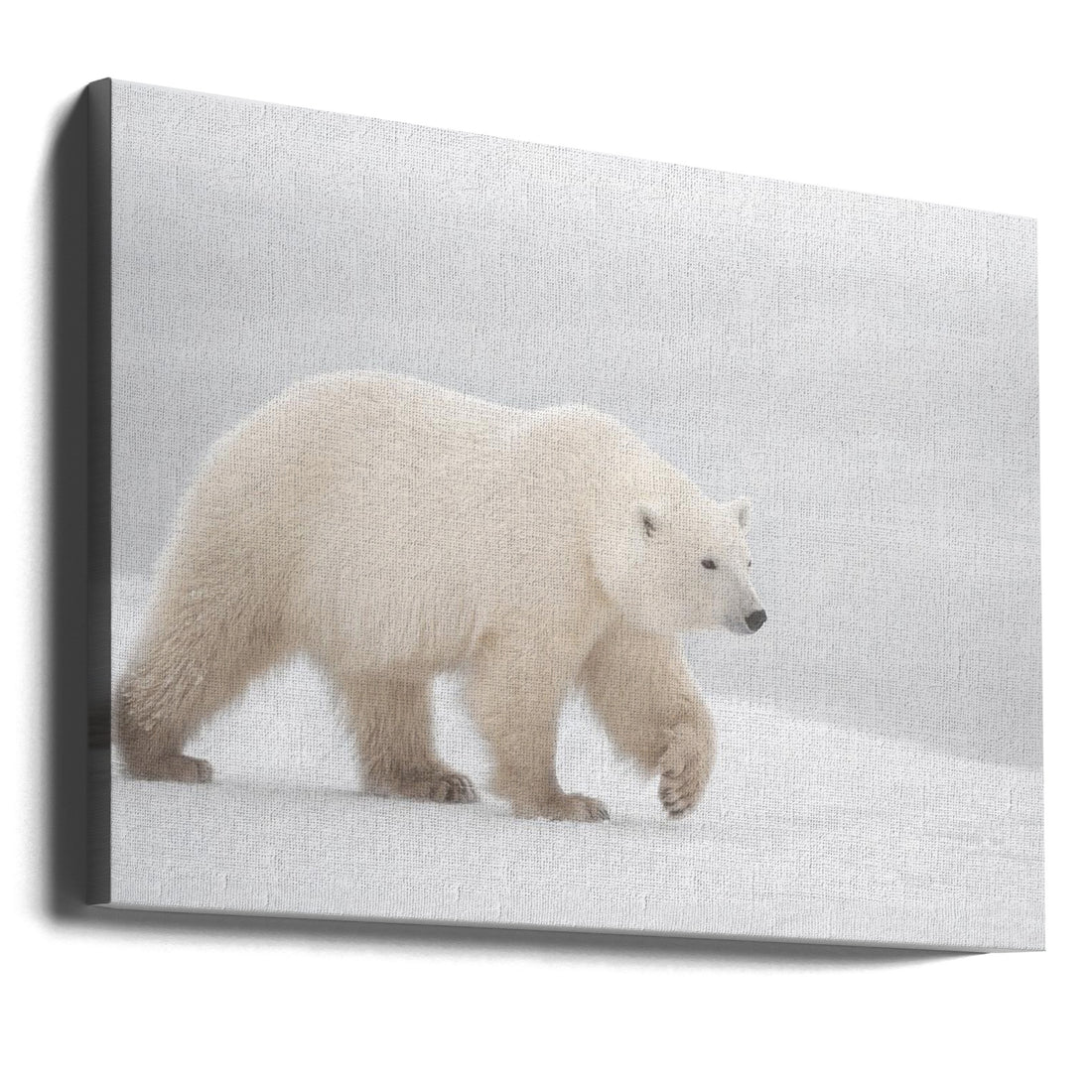 Polar Bear Walk by Marco Pozzi | Snowy Wildlife Nature, Large Canvas Wall Art Print | Artsy Earth