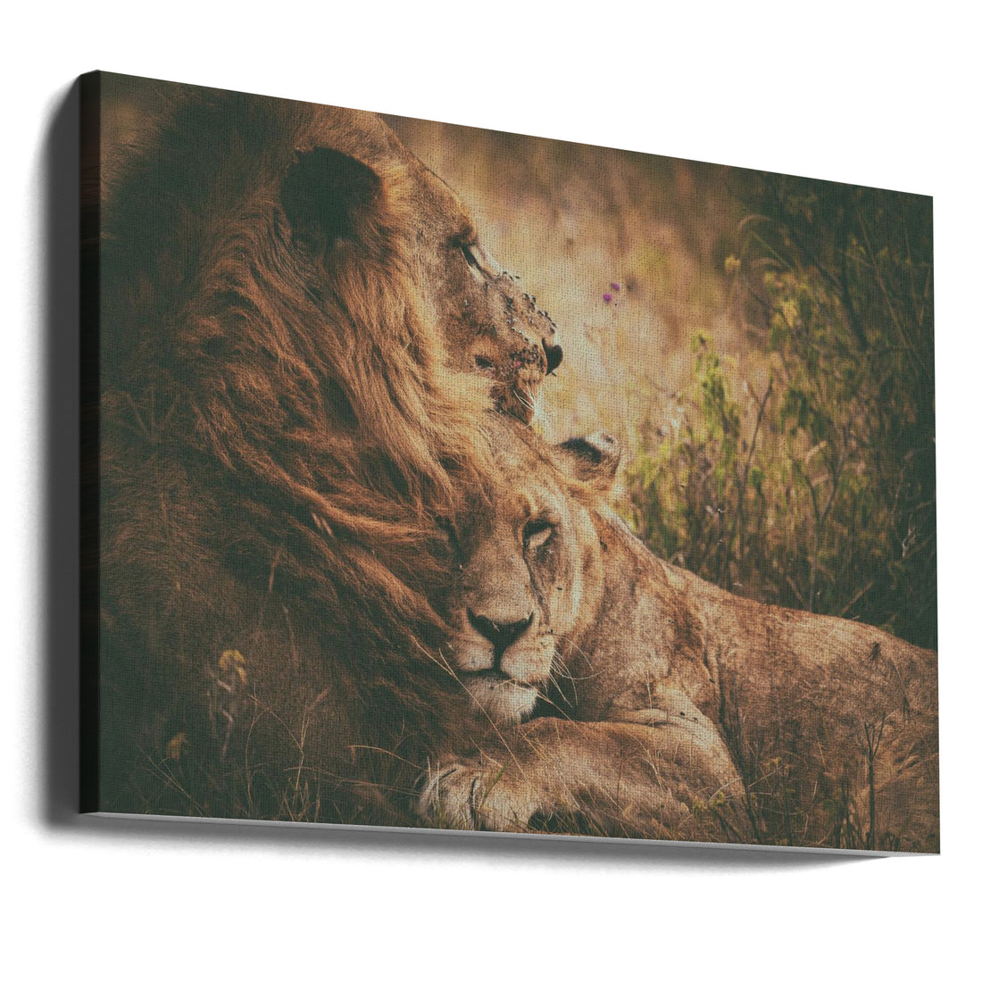 We Fly Together by Mohammed Alnaser | Lion Love Romance, Large Canvas Wall Art Print | Artsy Earth