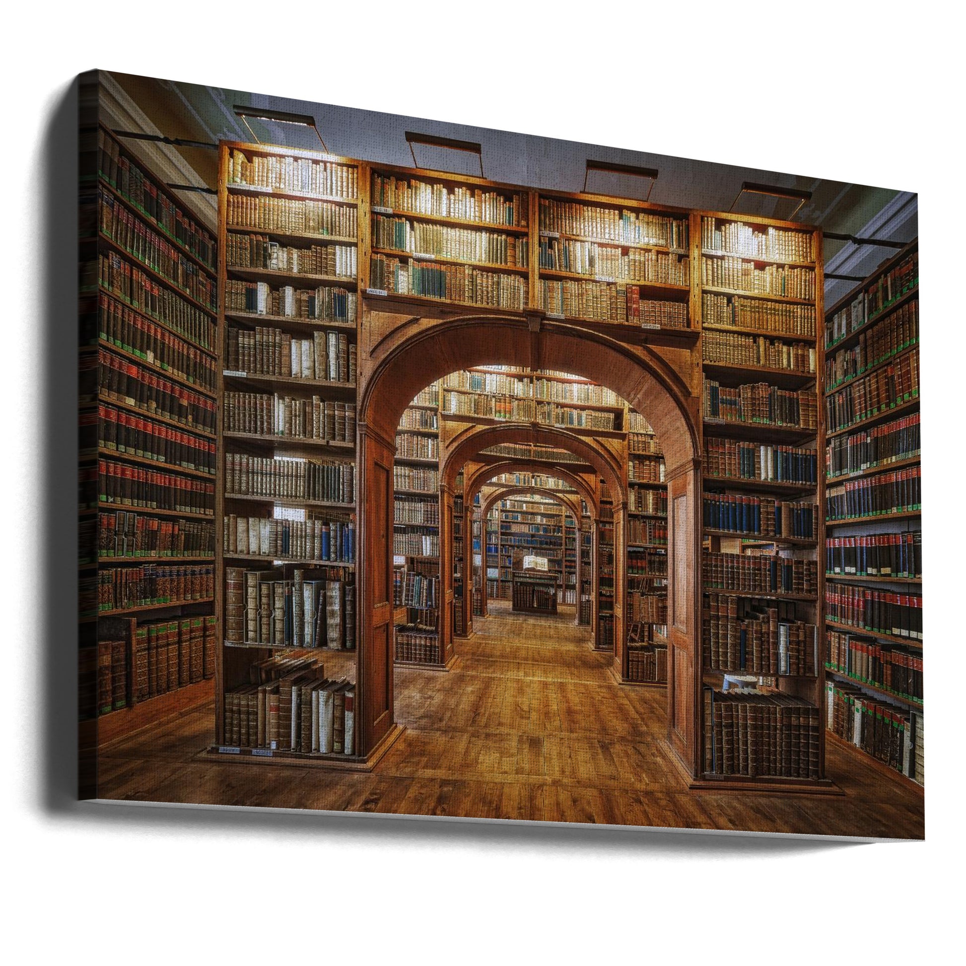 Upper Lausitzian Library by Patrick Aurednik | Library Architecture Interior, Large Canvas Wall Art Print | Artsy Earth