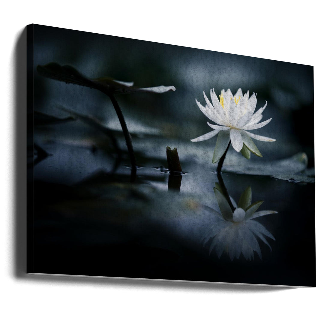 Zen Water Reflection by Takashi Suzuki | Peaceful Pond Garden, Large Canvas Wall Art Print | Artsy Earth