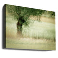 Willow Tree Art by Nel Talen | Abstract Landscape Illustration, Large Canvas Wall Art Print | Artsy Earth