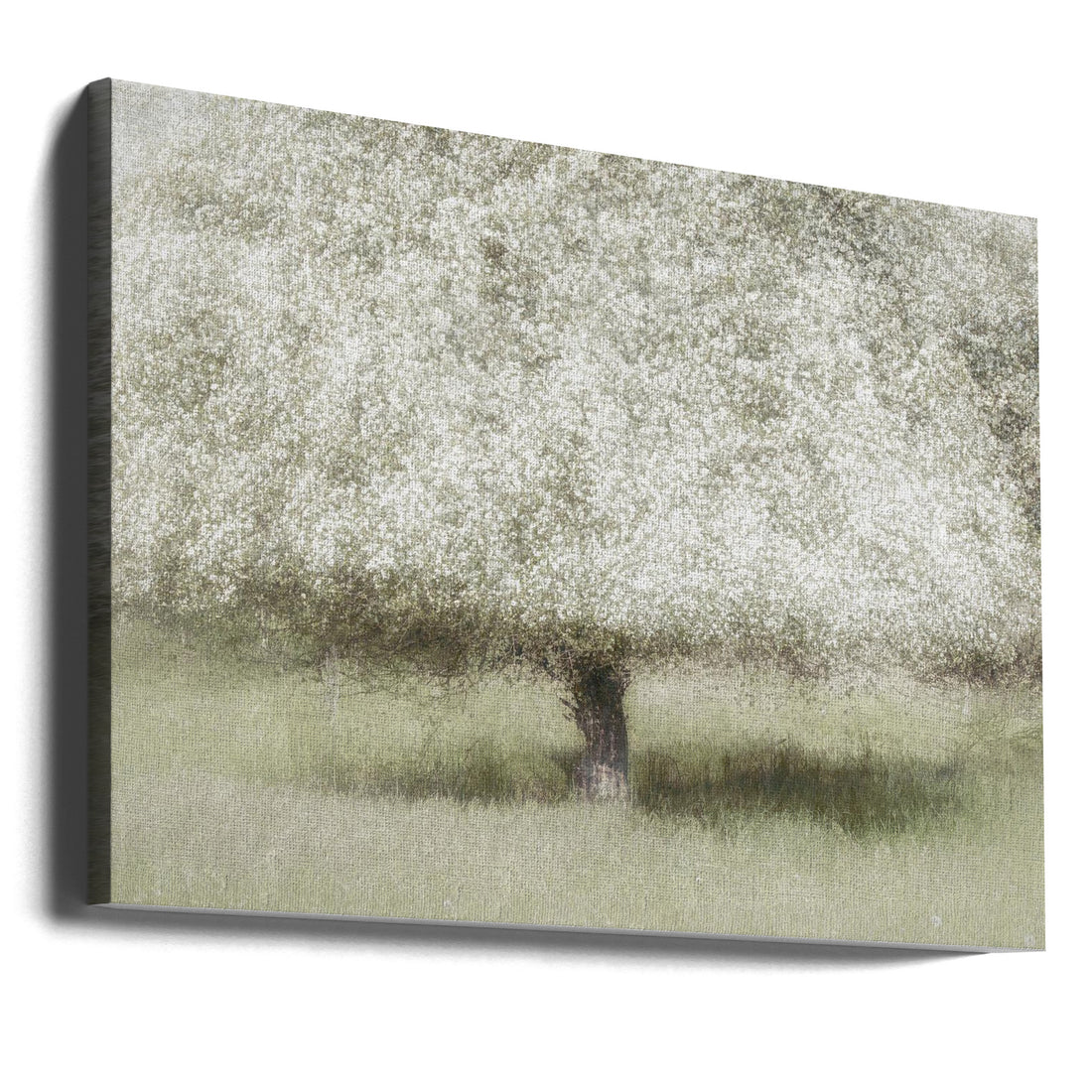 In the backyard by Nel Talen | Spring Garden Blossom, Large Canvas Wall Art Print | Artsy Earth