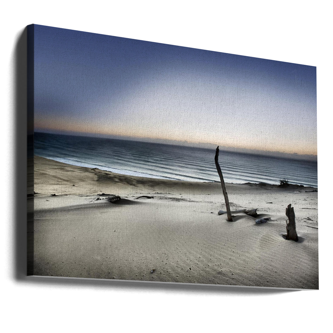 Reach for the sun by Mel Brackstone | Coastal Beach Landscape, Large Canvas Wall Art Print | Artsy Earth