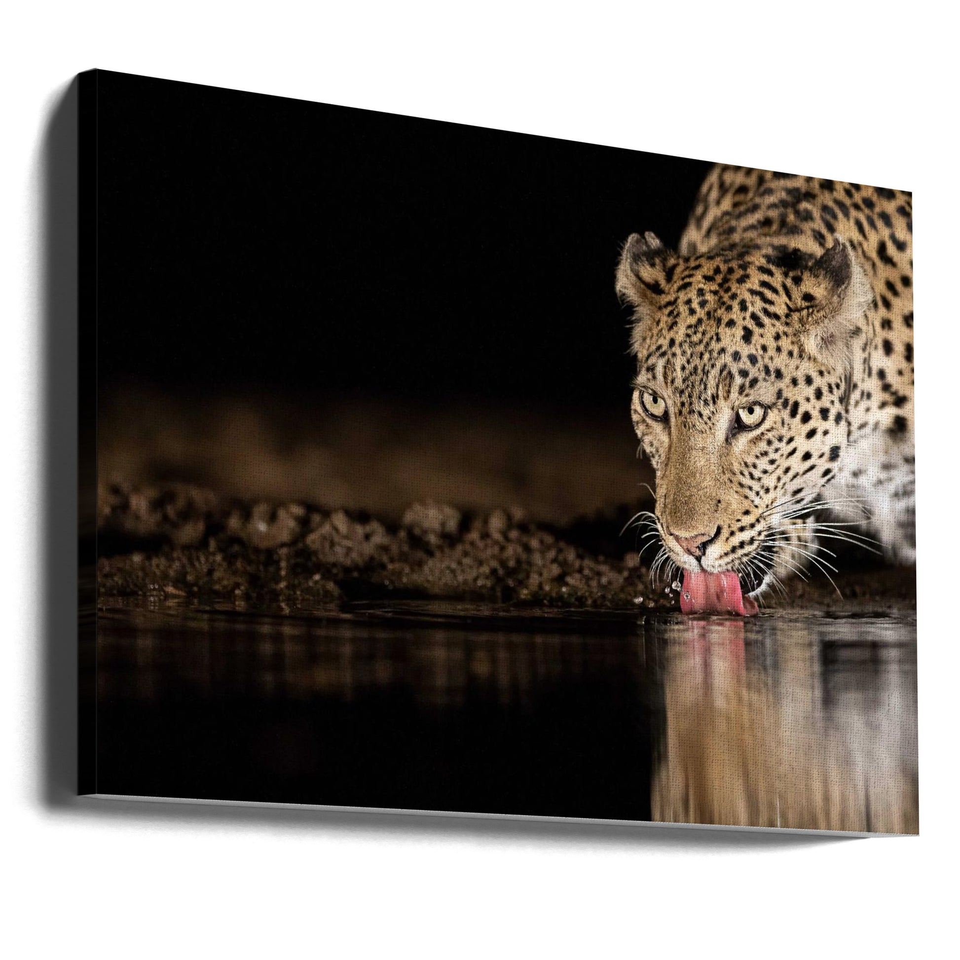 Eye of the Tiger by Amnon Eichelberg | Wildlife Safari Nature, Large Canvas Wall Art Print | Artsy Earth